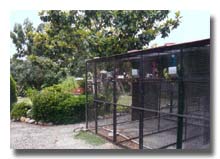 aviaries
