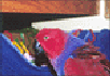 Contact us to order Scenic or Harrison�s bird foods or to just ask questions about the Parrots of Santa Barbara.